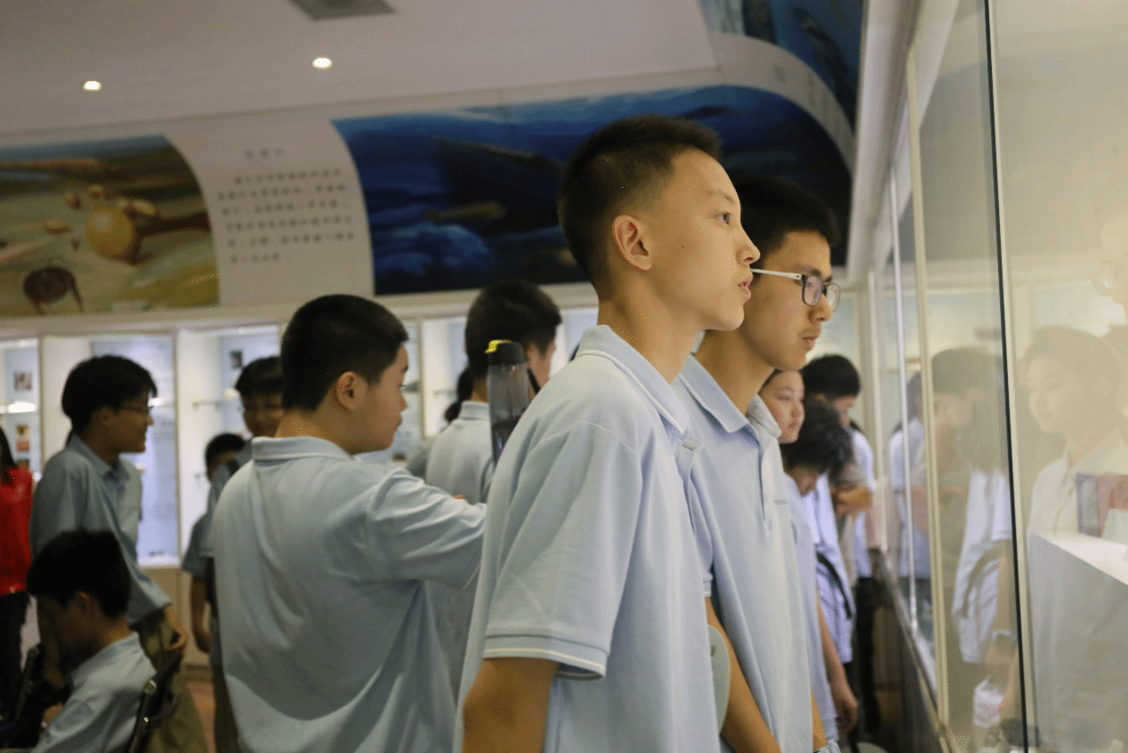 丝瓜视频