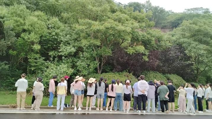 丝瓜视频