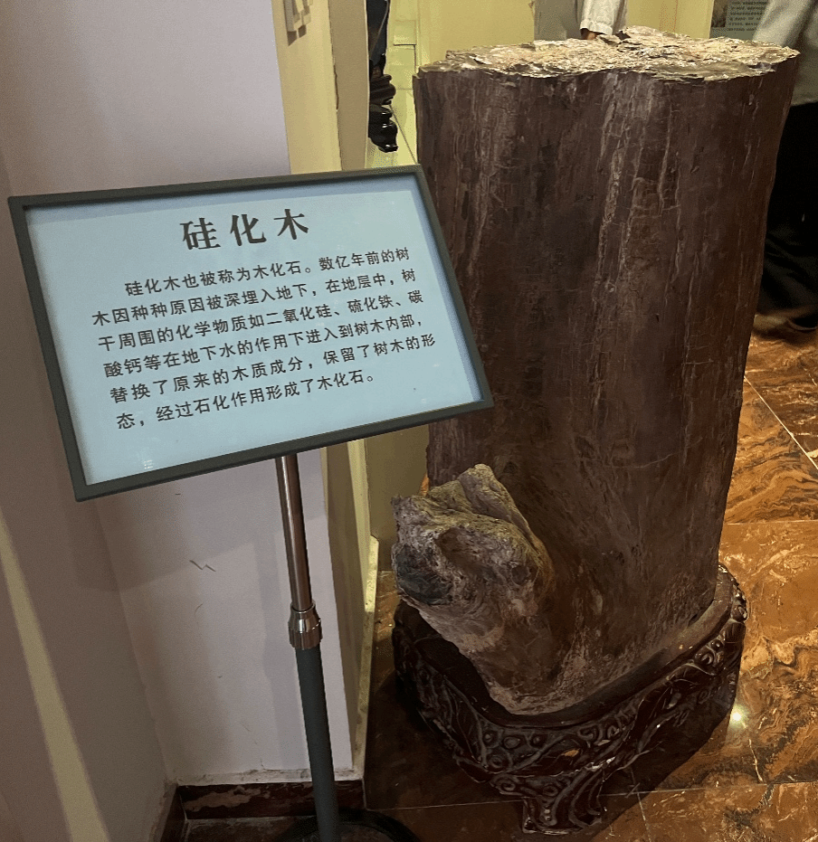 丝瓜视频