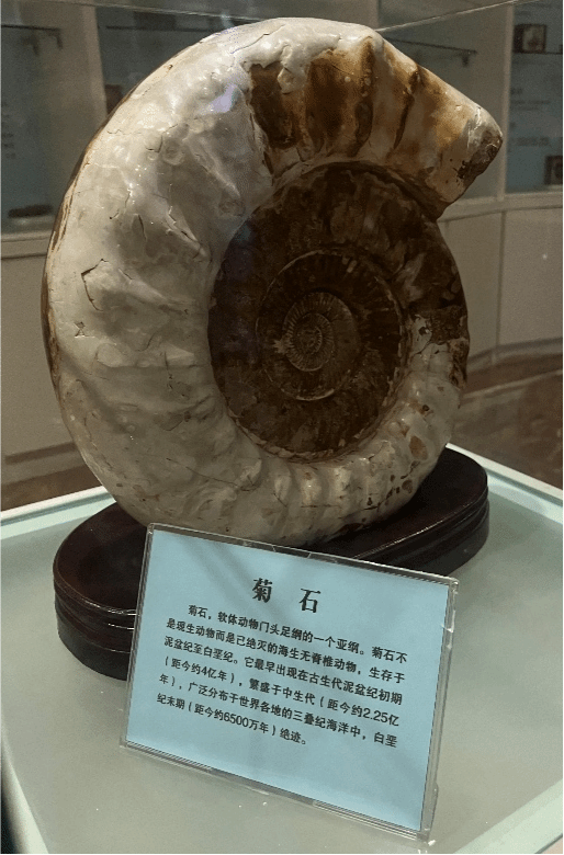 丝瓜视频